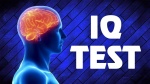  IQ   