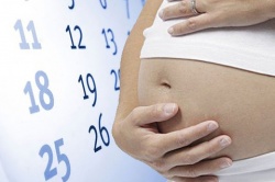 Беременность рассчитать срок беременности