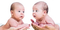 Беременность двойней: признаки