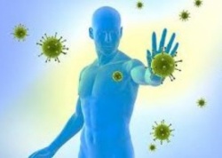 Как повысить иммунитет? ТОП-10 продуктов для здоровья