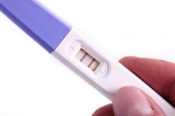 Когда можно делать тест на беременность?